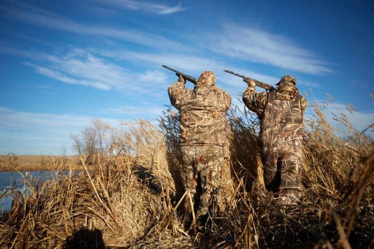 Wetlands or Wheatfields: What Is the Best Hunting Ground?